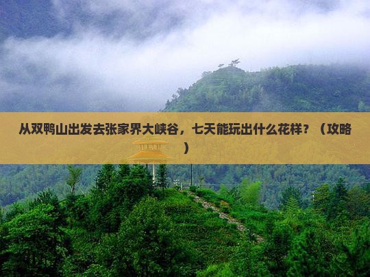 双鸭山去张家界大峡谷七日游