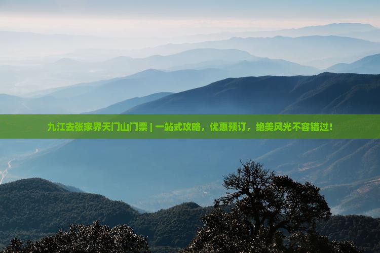 九江去张家界天门山门票