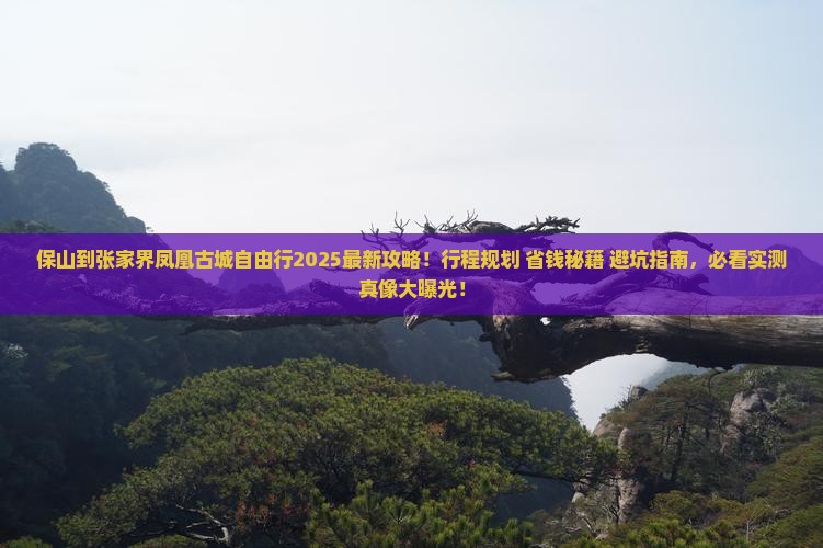 保山到张家界凤凰古城自由行