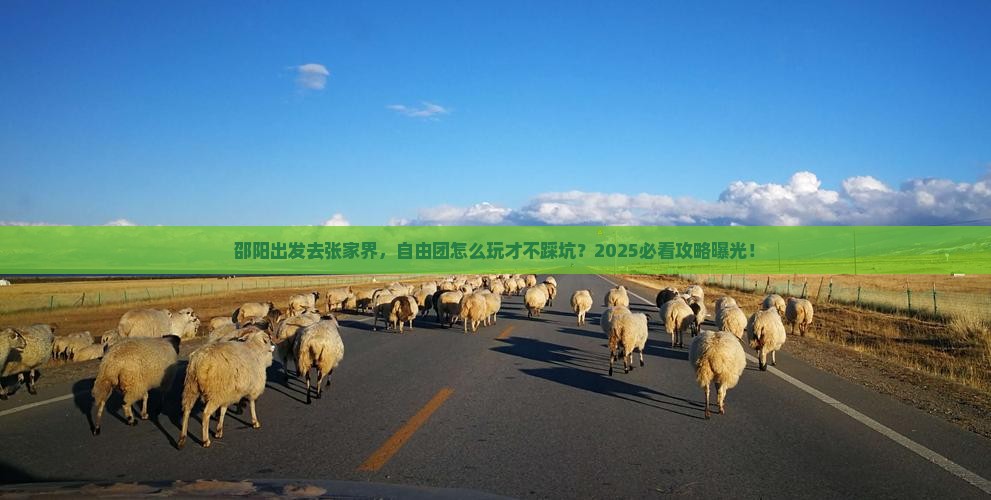 邵阳去张家界自由团