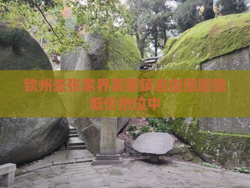 钦州去张家界芙蓉镇自由团
