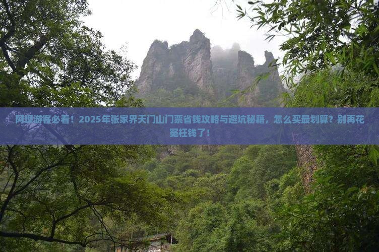 阿坝去张家界天门山门票