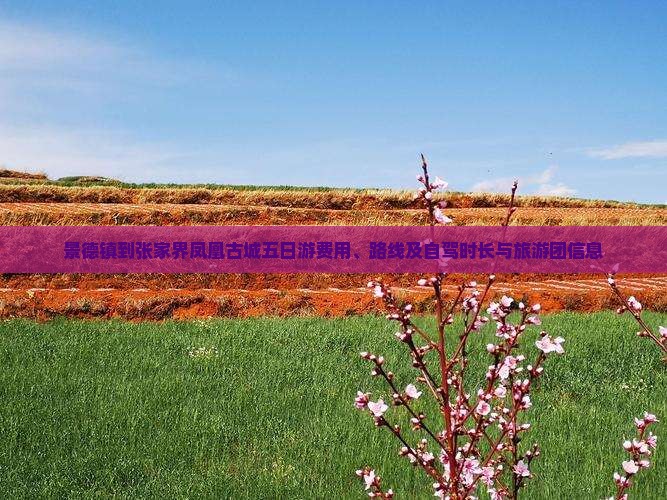 景德镇到张家界凤凰古城五日游费用、路线及自驾时长与旅游团信息