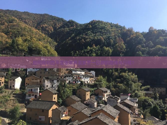 如何规划四平至张家界袁家界一日游的路线与行程？