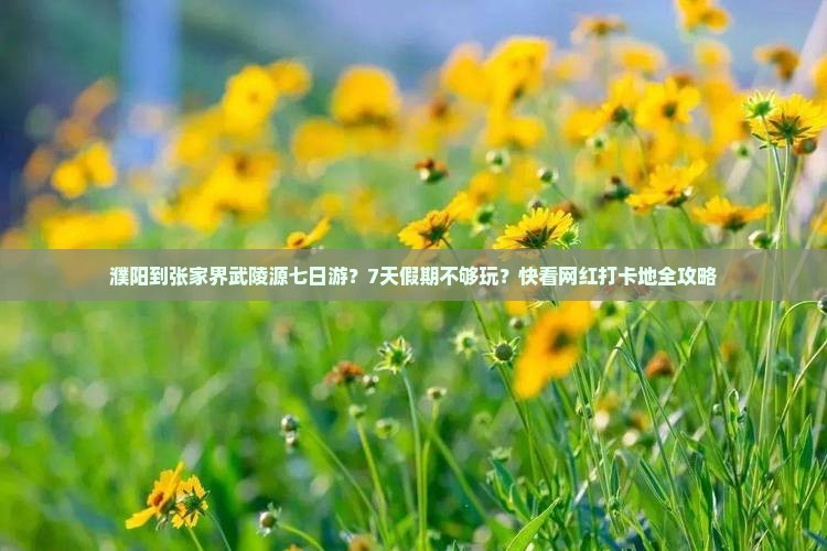 濮阳到张家界武陵源七日游？7天假期不够玩？快看网红打卡地全攻略