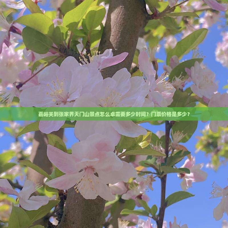 嘉峪关到张家界天门山景点怎么卓需要多少时间？门票价格是多少？