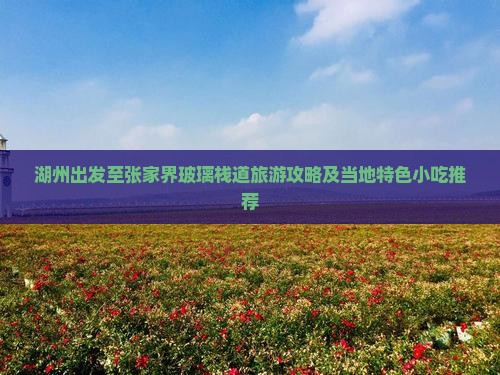 湖州出发至张家界玻璃栈道旅游攻略及当地特色小吃推荐