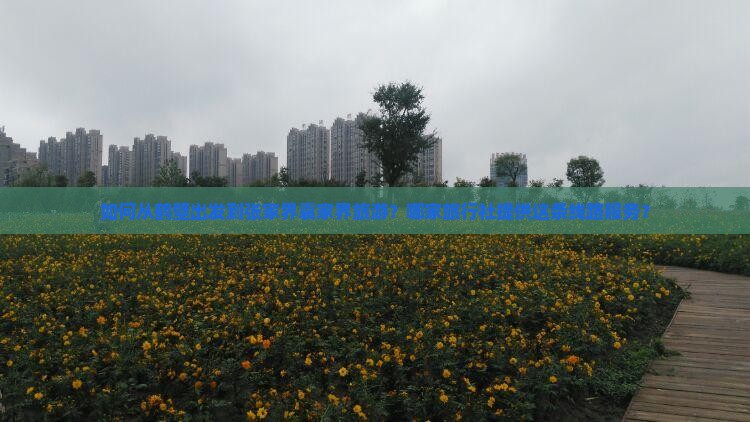如何从鹤壁出发到张家界袁家界旅游？哪家旅行社提供这条线路服务？