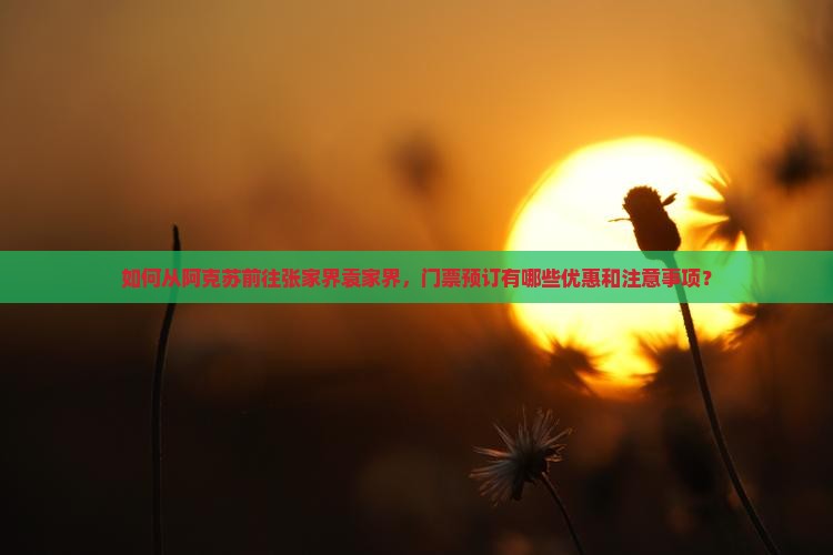 如何从阿克苏前往张家界袁家界，门票预订有哪些优惠和注意事项？