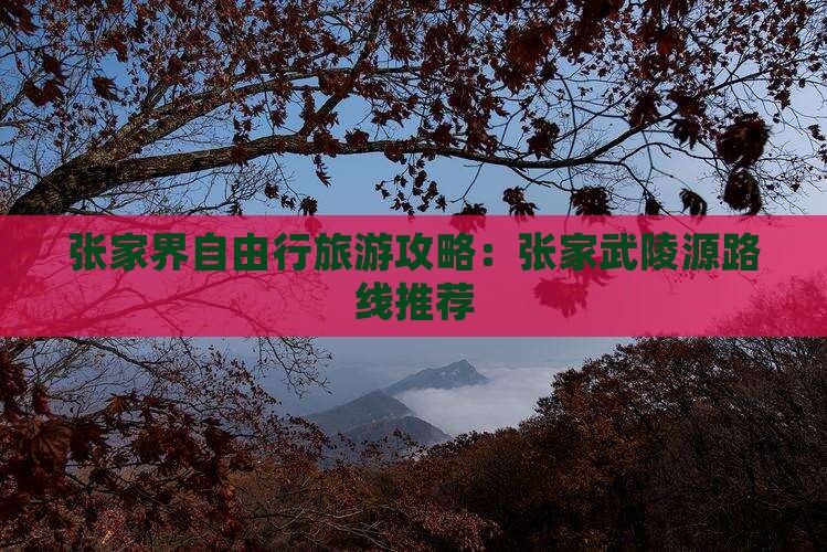 张家界自由行旅游攻略：张家武陵源路线推荐