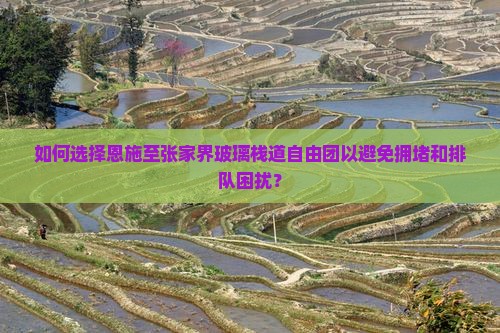 如何选择恩施至张家界玻璃栈道自由团以避免拥堵和排队困扰？