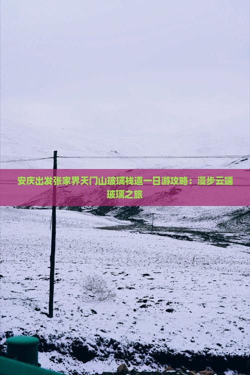 安庆出发张家界天门山玻璃栈道一日游攻略：漫步云端玻璃之旅
