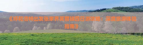 《呼和浩特出发张家界芙蓉镇四日游攻略：深度旅游体验指南》