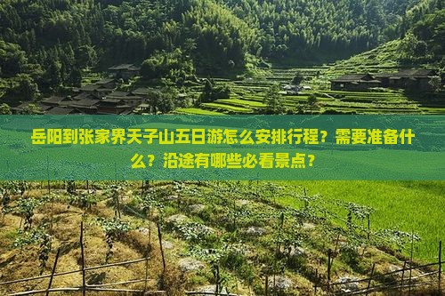 岳阳到张家界天子山五日游怎么安排行程？需要准备什么？沿途有哪些必看景点？