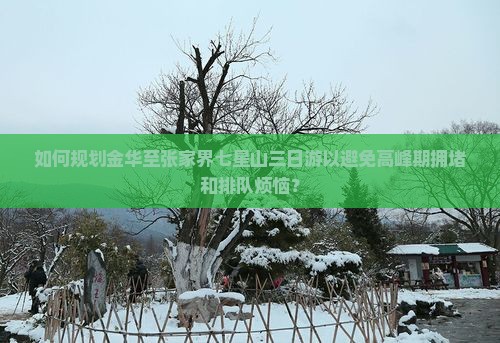 如何规划金华至张家界七星山三日游以避免高峰期拥堵和排队烦恼？