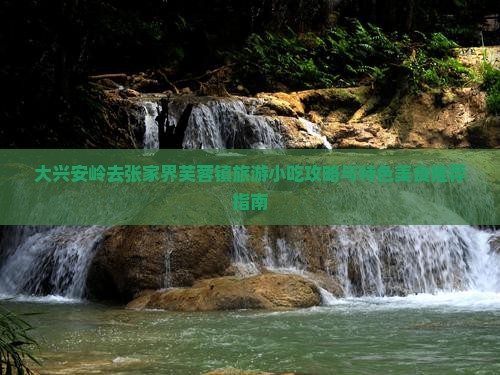 大兴安岭去张家界芙蓉镇旅游小吃攻略与特色美食推荐指南