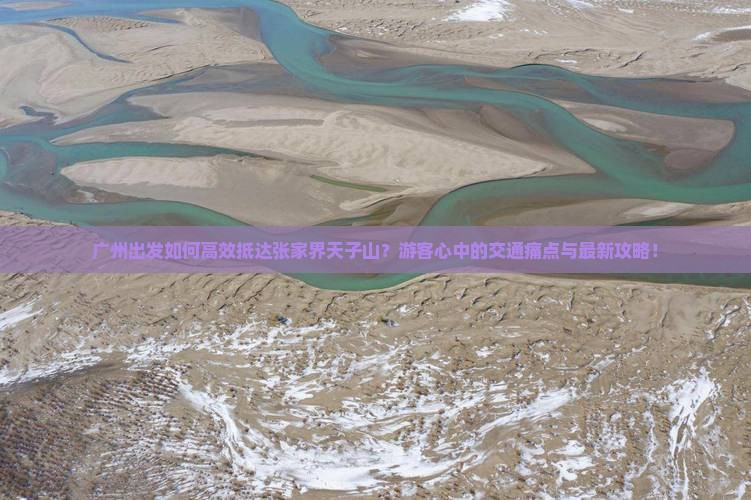 广州出发如何高效抵达张家界天子山？游客心中的交通痛点与最新攻略！