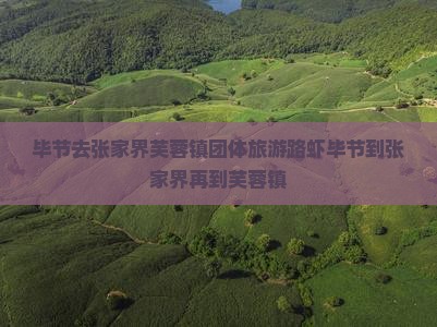 毕节去张家界芙蓉镇团体旅游路虾毕节到张家界再到芙蓉镇