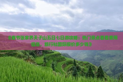 《春节张家界天子山五日七日游攻略：热门景点看看费用信息，旅行社国际报价多少钱》