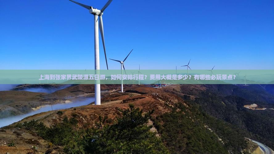 上海到张家界武陵源五日游，如何安排行程？费用大概是多少？有哪些必玩景点？