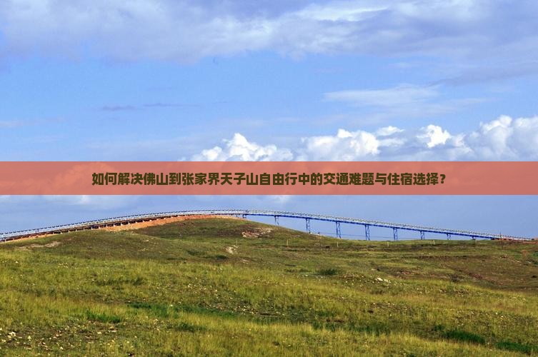 如何解决佛山到张家界天子山自由行中的交通难题与住宿选择？