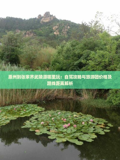 惠州到张家界武陵源哪里玩：自驾攻略与旅游团价格及路线距离解析