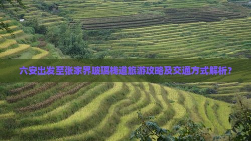 六安出发至张家界玻璃栈道旅游攻略及交通方式解析？