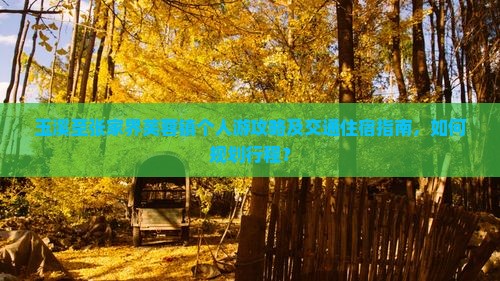 玉溪至张家界芙蓉镇个人游攻略及交通住宿指南，如何规划行程？