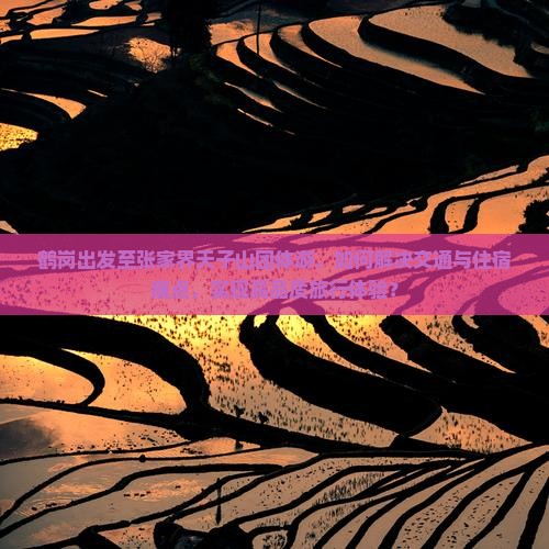 鹤岗出发至张家界天子山团体游，如何解决交通与住宿痛点，实现高品质旅行体验？