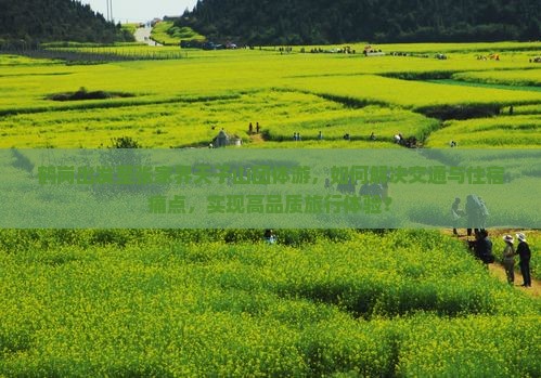 鹤岗出发至张家界天子山团体游，如何解决交通与住宿痛点，实现高品质旅行体验？
