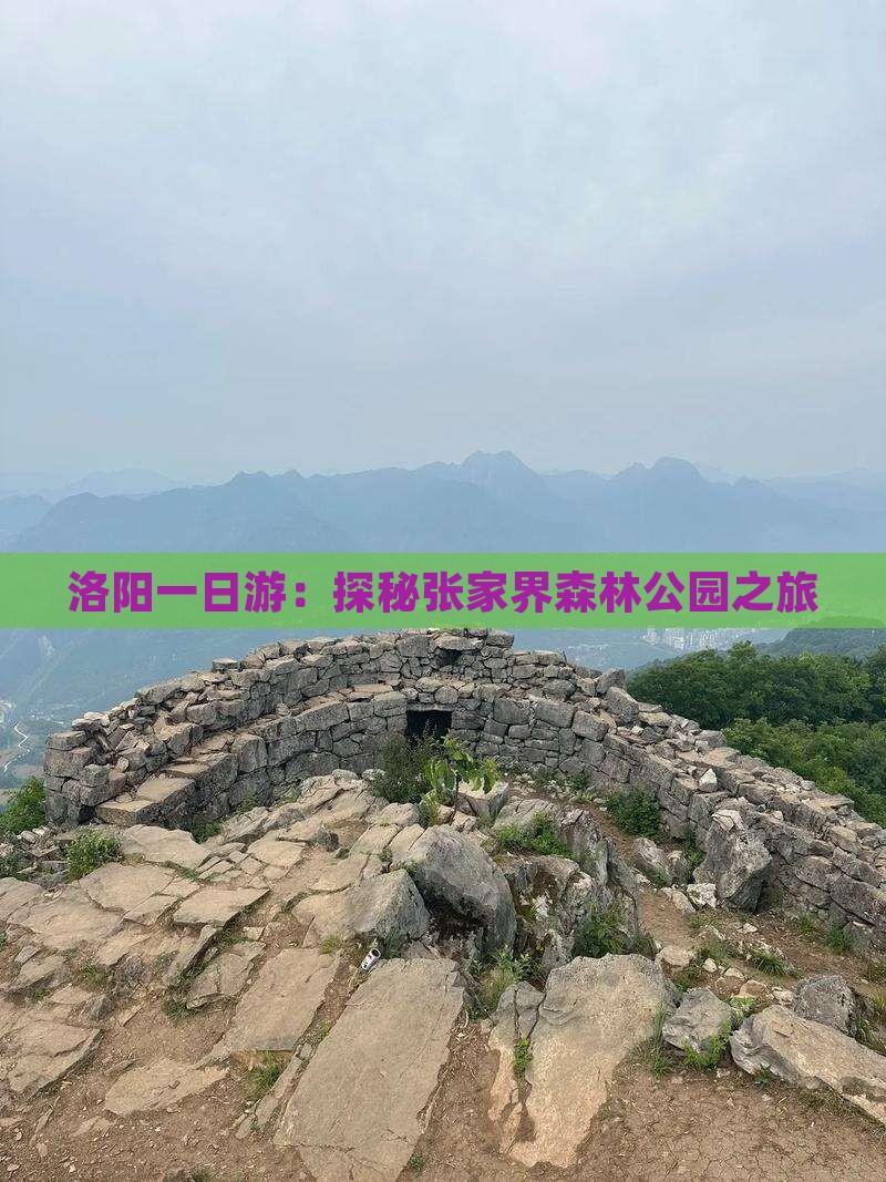 洛阳一日游：探秘张家界森林公园之旅