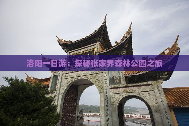 洛阳一日游：探秘张家界森林公园之旅
