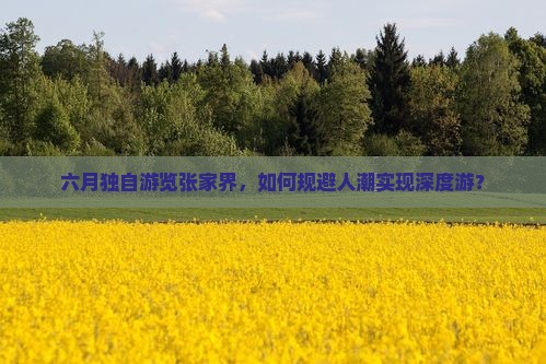 六月独自游览张家界，如何规避人潮实现深度游？