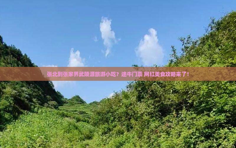 张北到张家界武陵源旅游小吃？途牛门票+网红美食攻略来了！