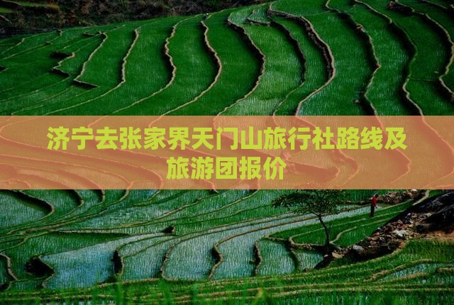 济宁去张家界天门山旅行社路线及旅游团报价