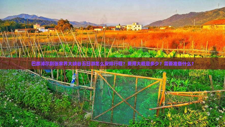 巴彦淖尔到张家界大峡谷五日游怎么安排行程？费用大概是多少？需要准备什么？