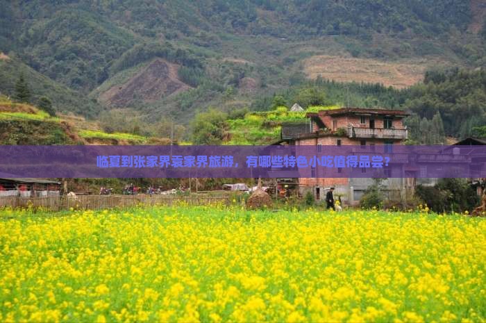 临夏到张家界袁家界旅游，有哪些特色小吃值得品尝？