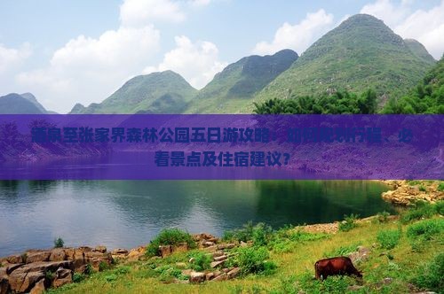 酒泉至张家界森林公园五日游攻略：如何规划行程、必看景点及住宿建议？