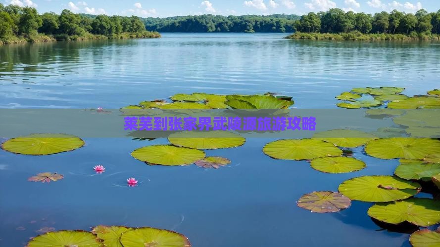 莱芜到张家界武陵源旅游攻略