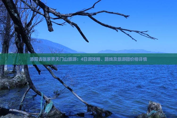 洛阳去张家界天门山旅游：4日游攻略、路线及旅游团价格详情