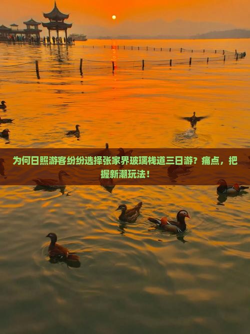 为何日照游客纷纷选择张家界玻璃栈道三日游？痛点，把握新潮玩法！