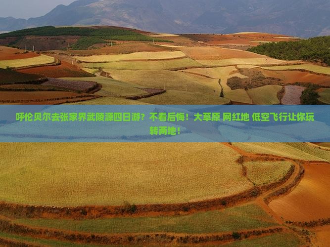 呼伦贝尔去张家界武陵源四日游？不看后悔！大草原+网红地+低空飞行让你玩转两地！