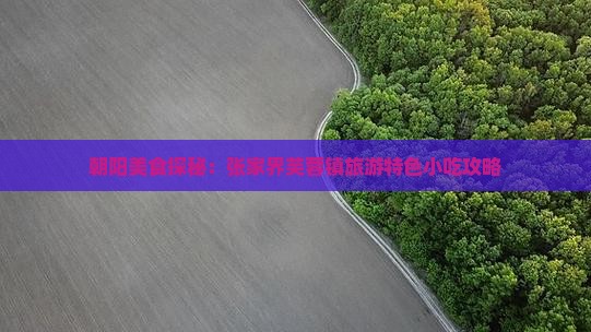 朝阳美食探秘：张家界芙蓉镇旅游特色小吃攻略