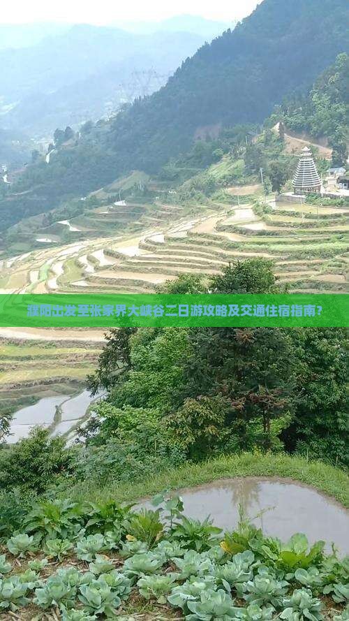 濮阳出发至张家界大峡谷二日游攻略及交通住宿指南？