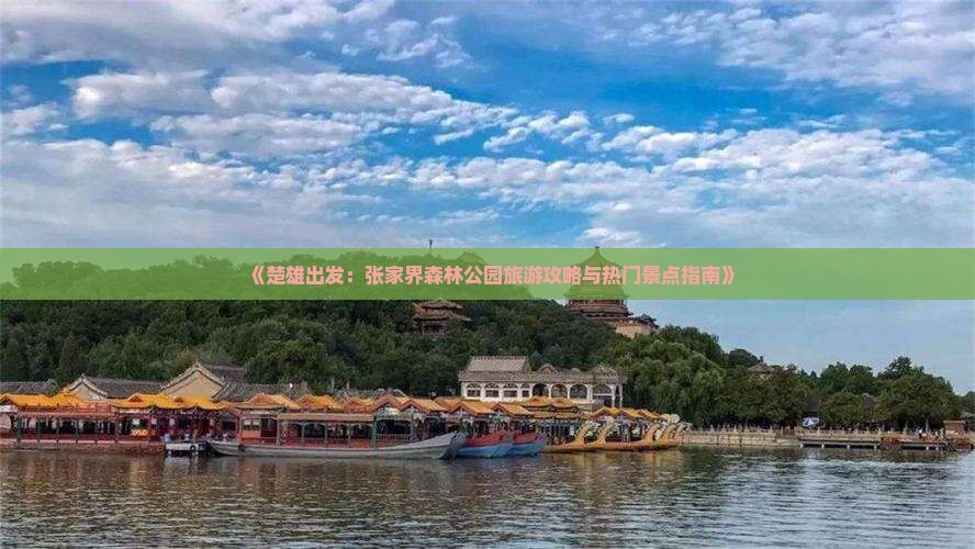 《楚雄出发：张家界森林公园旅游攻略与热门景点指南》