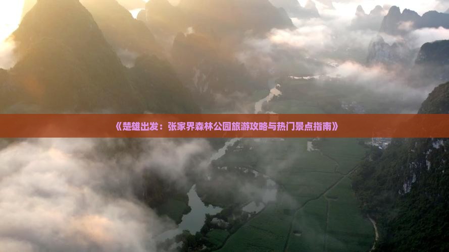 《楚雄出发：张家界森林公园旅游攻略与热门景点指南》