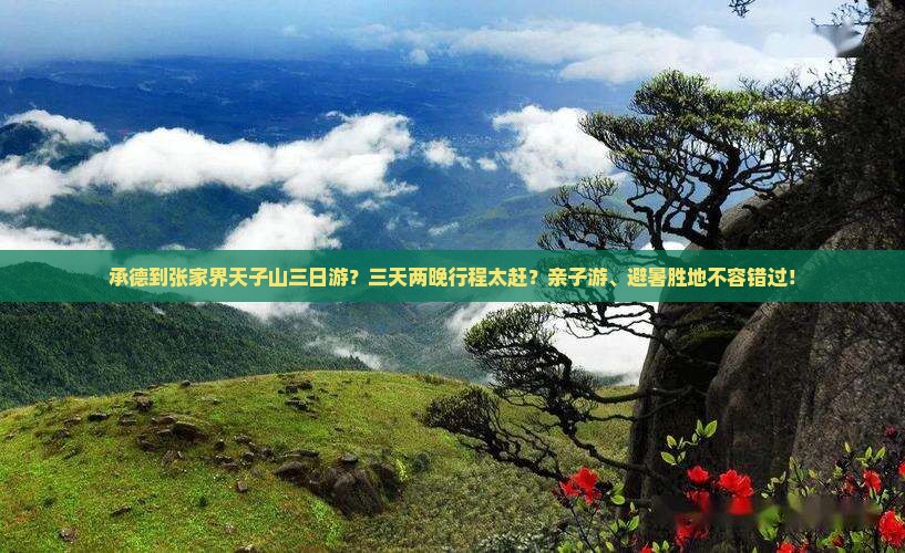 承德到张家界天子山三日游？三天两晚行程太赶？亲子游、避暑胜地不容错过！