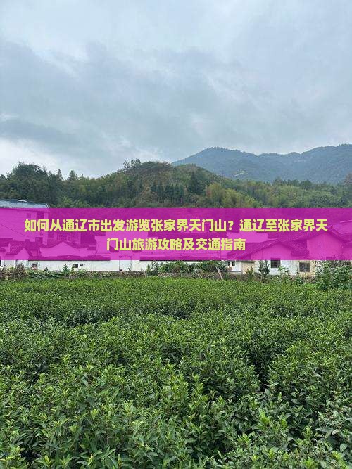 如何从通辽市出发游览张家界天门山？通辽至张家界天门山旅游攻略及交通指南