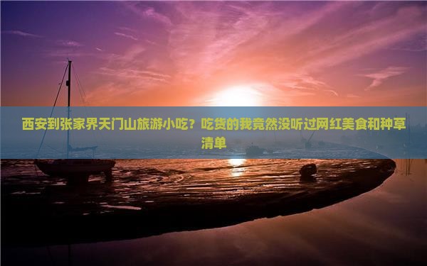 西安到张家界天门山旅游小吃？吃货的我竟然没听过网红美食和种草清单