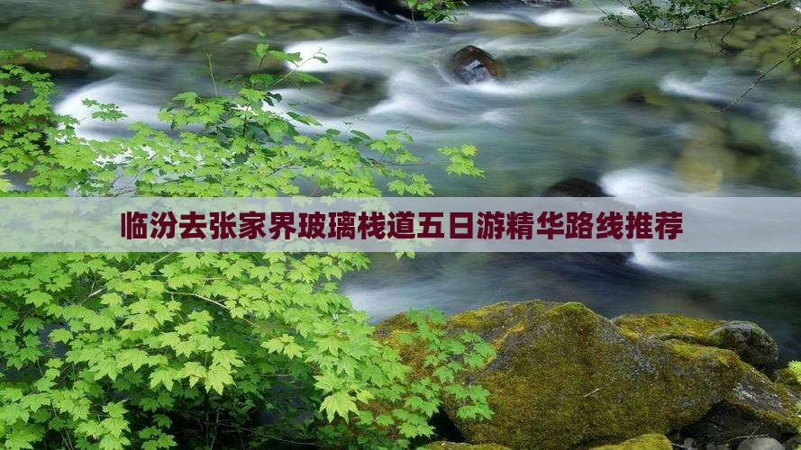 临汾去张家界玻璃栈道五日游精华路线推荐